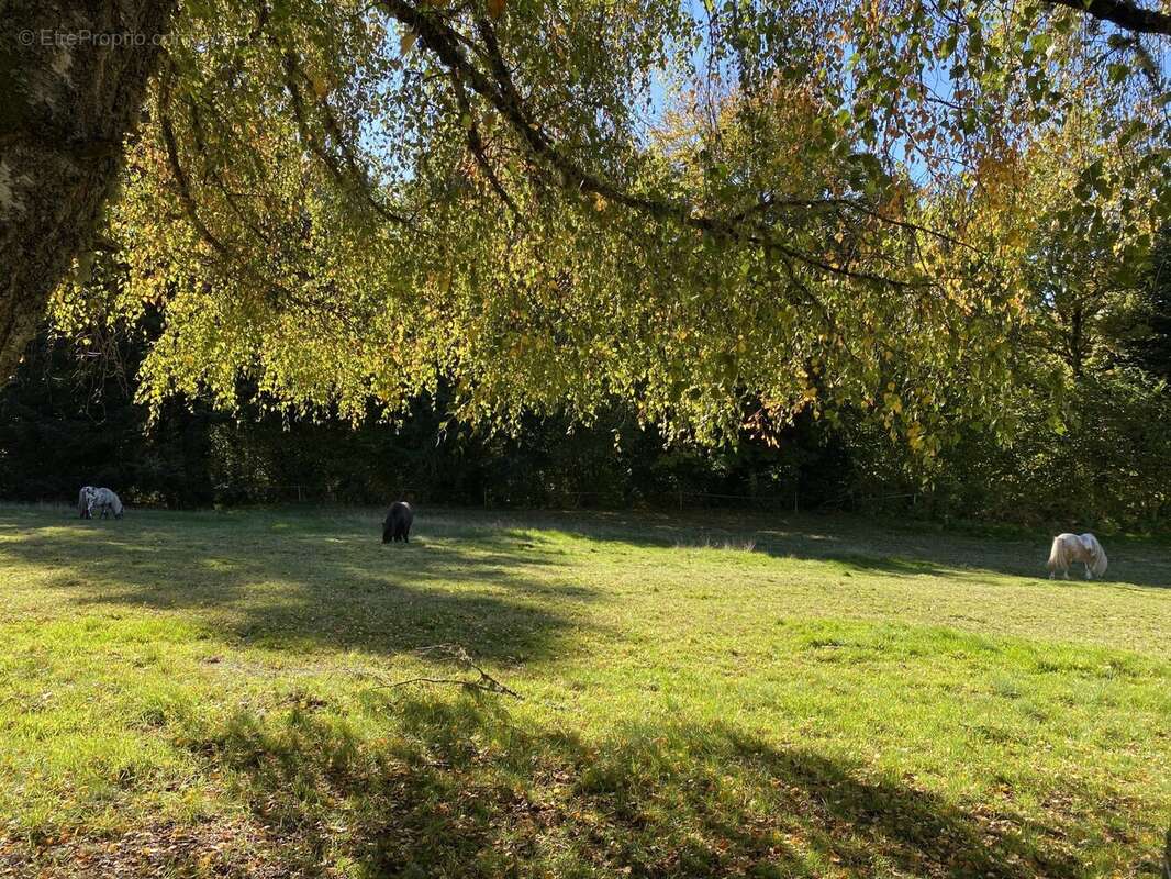 Maison à BEAUMONT-DU-LAC