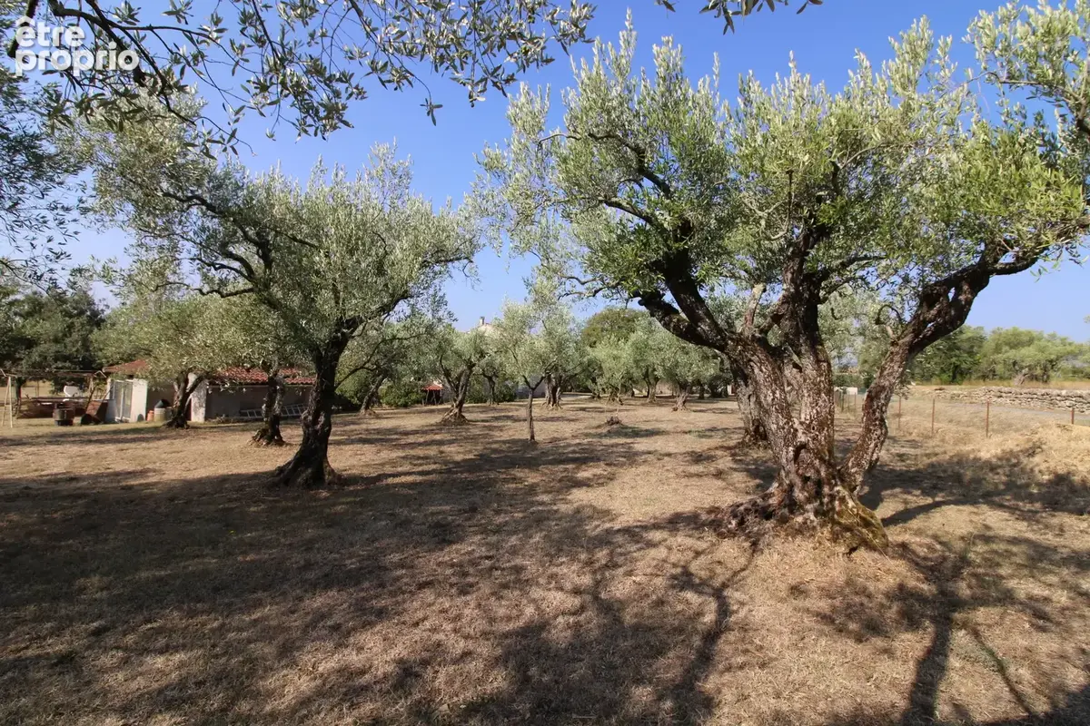 Villa 170 m2 Terrain  7000 m2 VUE DEGAGEE. - photo 18