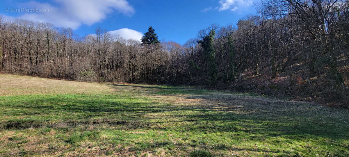 Terrain à BEYNAT