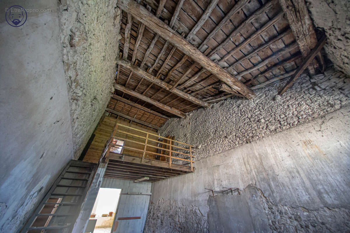 Investissement ou projet familial - photo 19