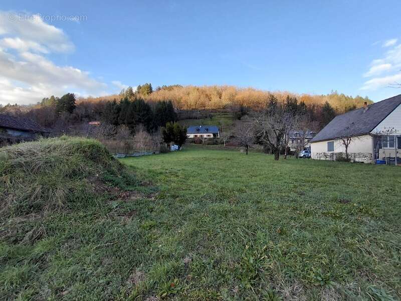 Terrain à SAINT-PARTHEM