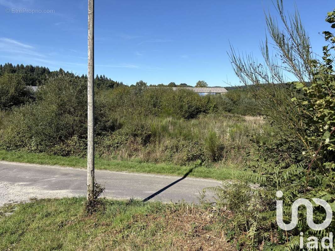 Photo 4 - Terrain à USSEL