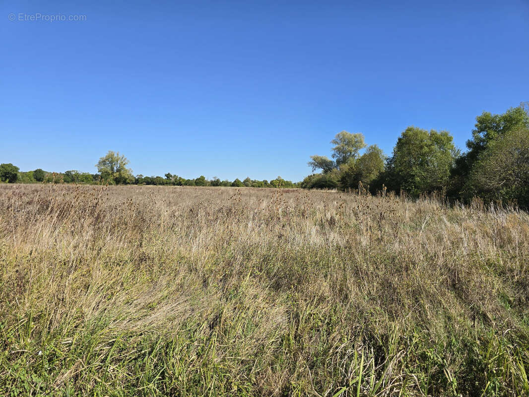 Terrain à NEUILLY-EN-DUN