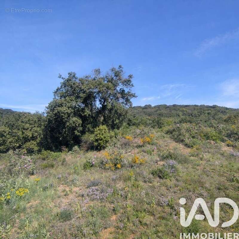 Photo 3 - Terrain à NEFFIES