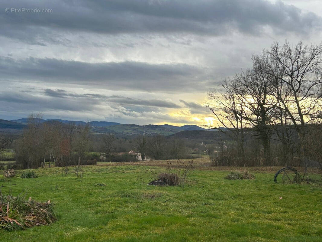 Terrain à BORT-L'ETANG