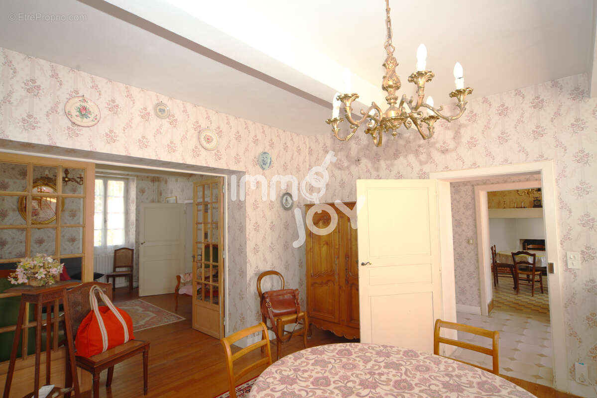 Vue Pyrénées, maison de Maitre, 200m2, nombreuses dépendances. - photo 5