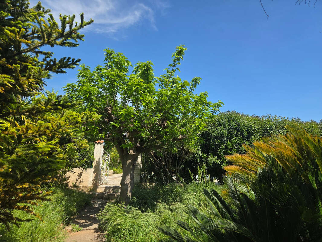 Maison à MARIGNANE