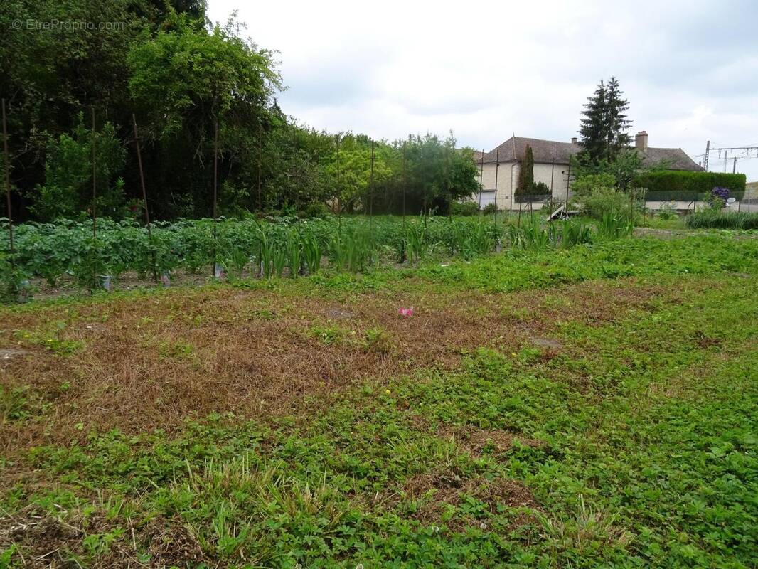 Photo 1 - Terrain à FONTAINES