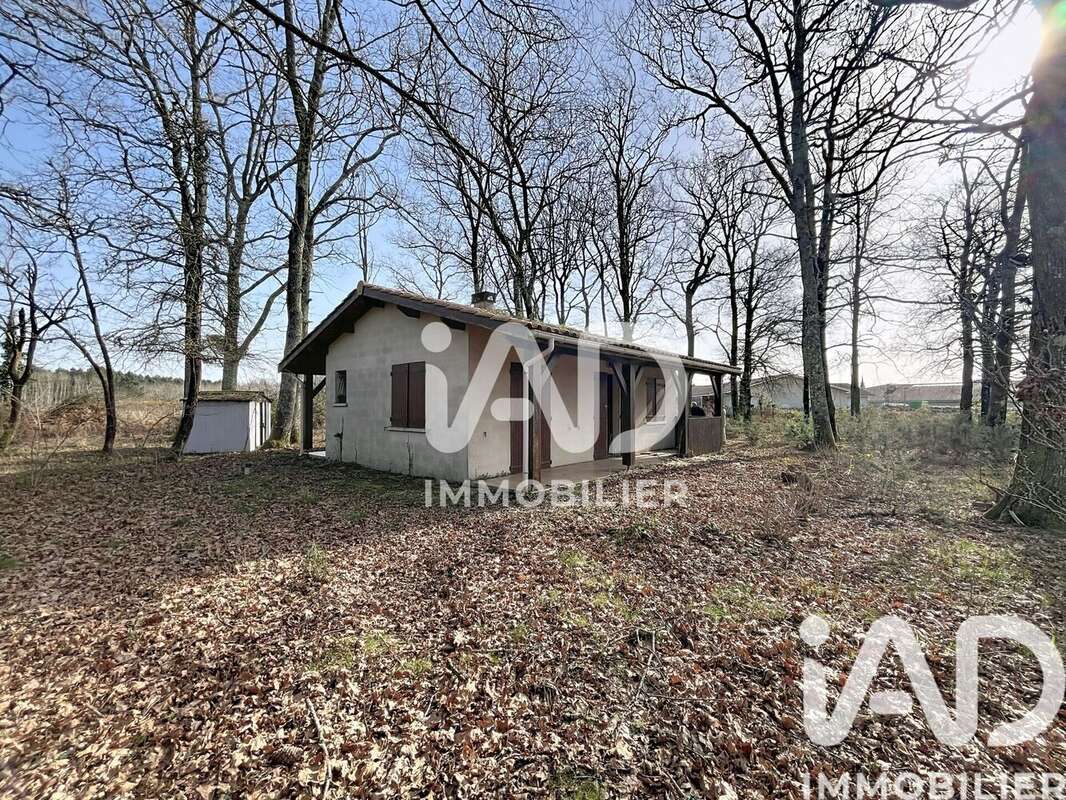 Photo 2 - Maison à VENDAYS-MONTALIVET