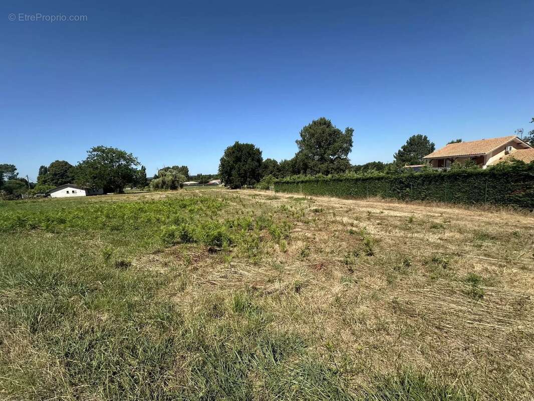 Terrain à SAINT-SAVIN