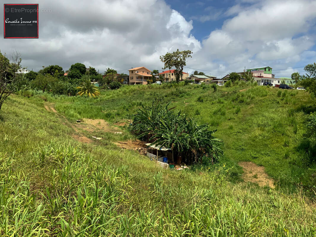 Terrain à SAINTE-MARIE