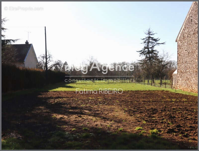 Terrain à ESTERNAY