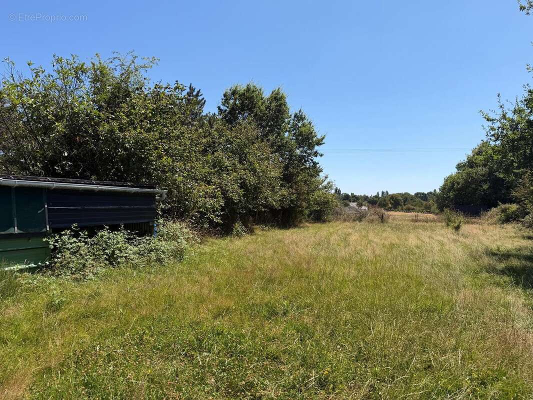 Terrain 1300 m² à Moisdon-La-Riviere  - photo 4
