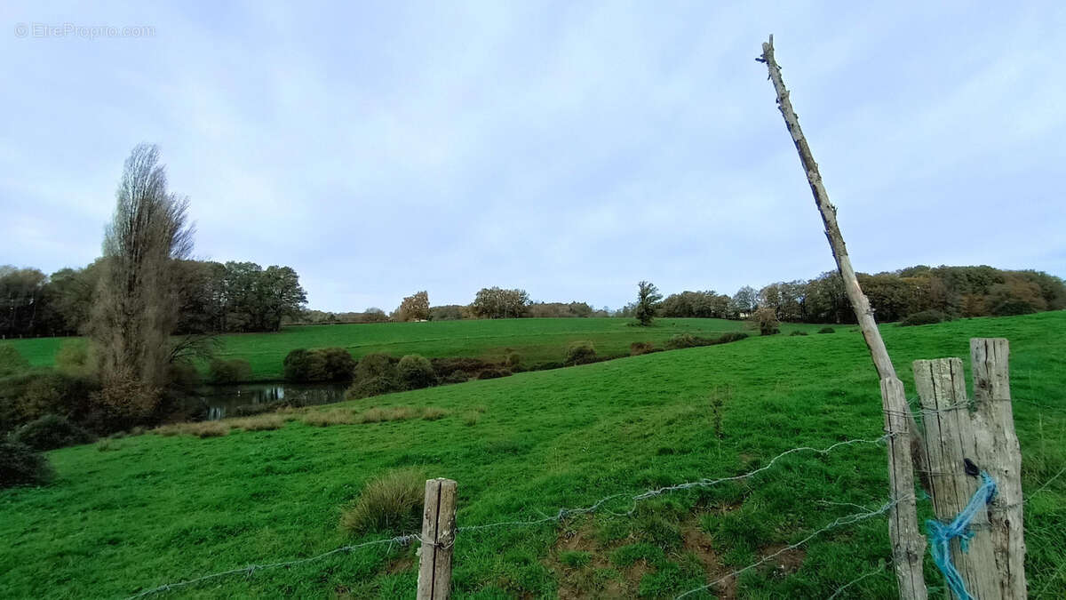Maison à LA COQUILLE