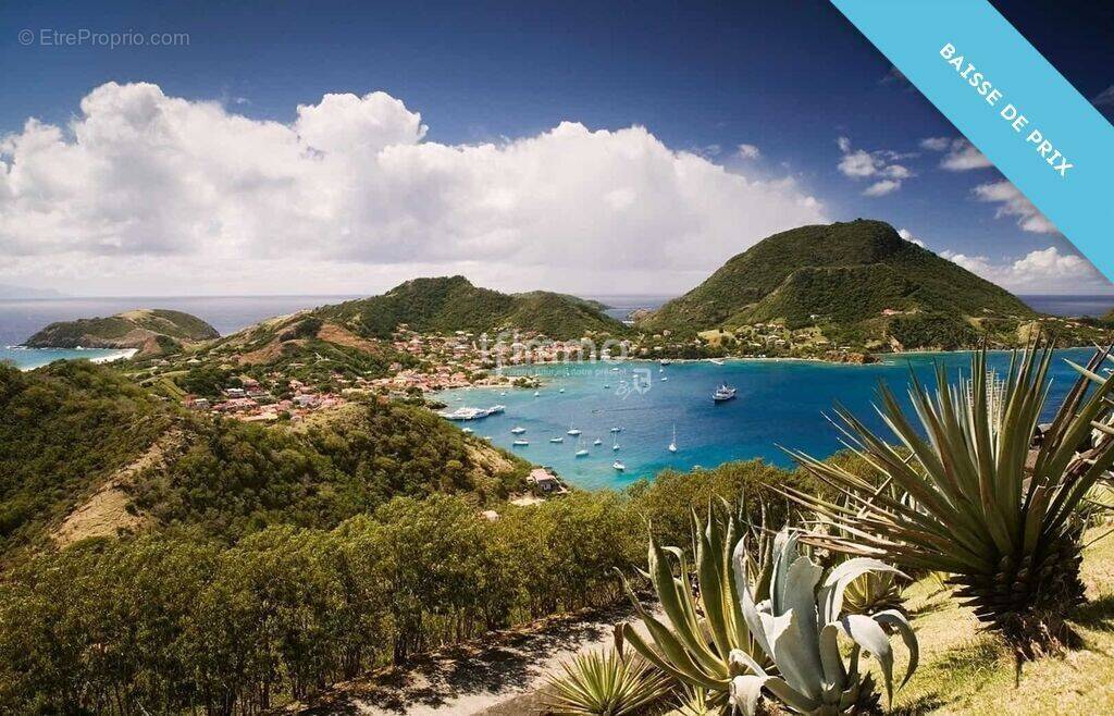 Maison à TERRE-DE-HAUT