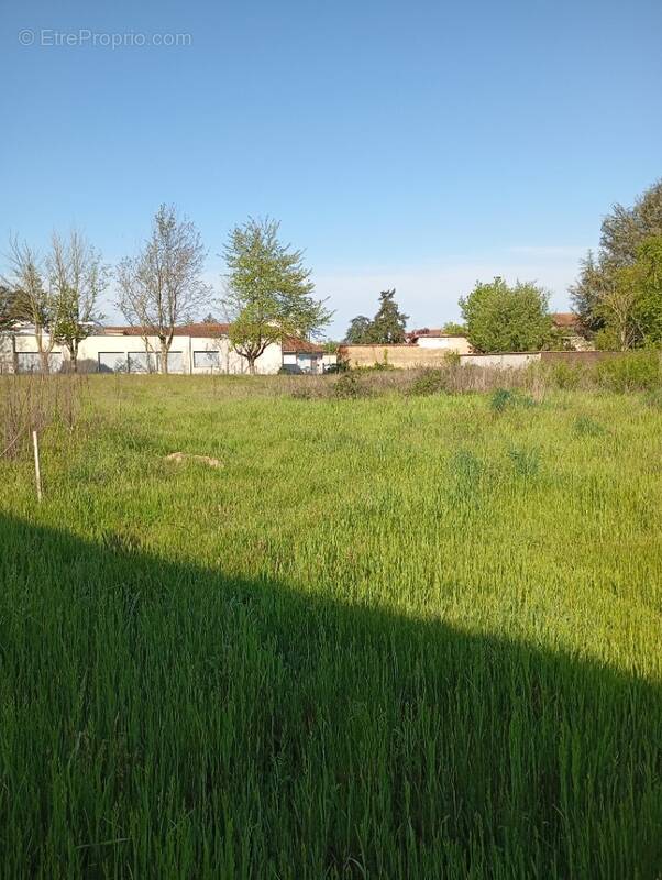 Terrain à MARCILLOLES