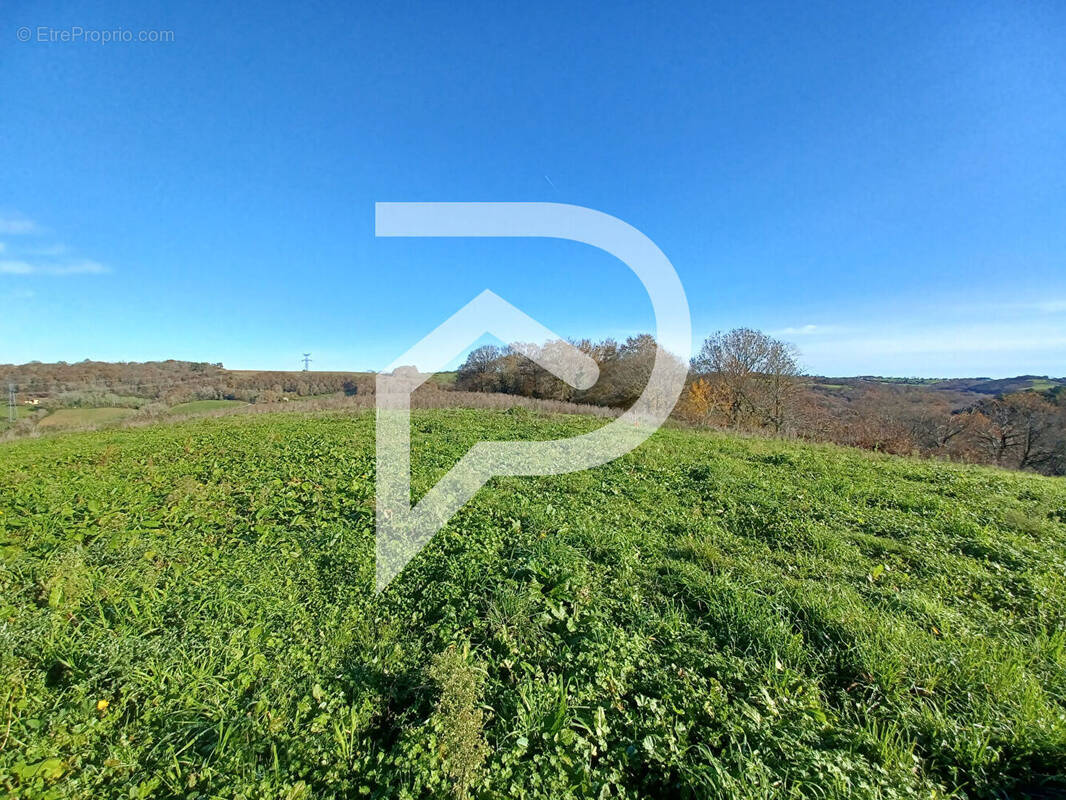 Terrain à SERRES-SAINTE-MARIE