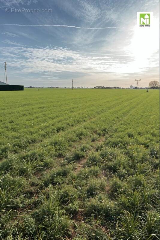 Terrain à AUCHY-LEZ-ORCHIES