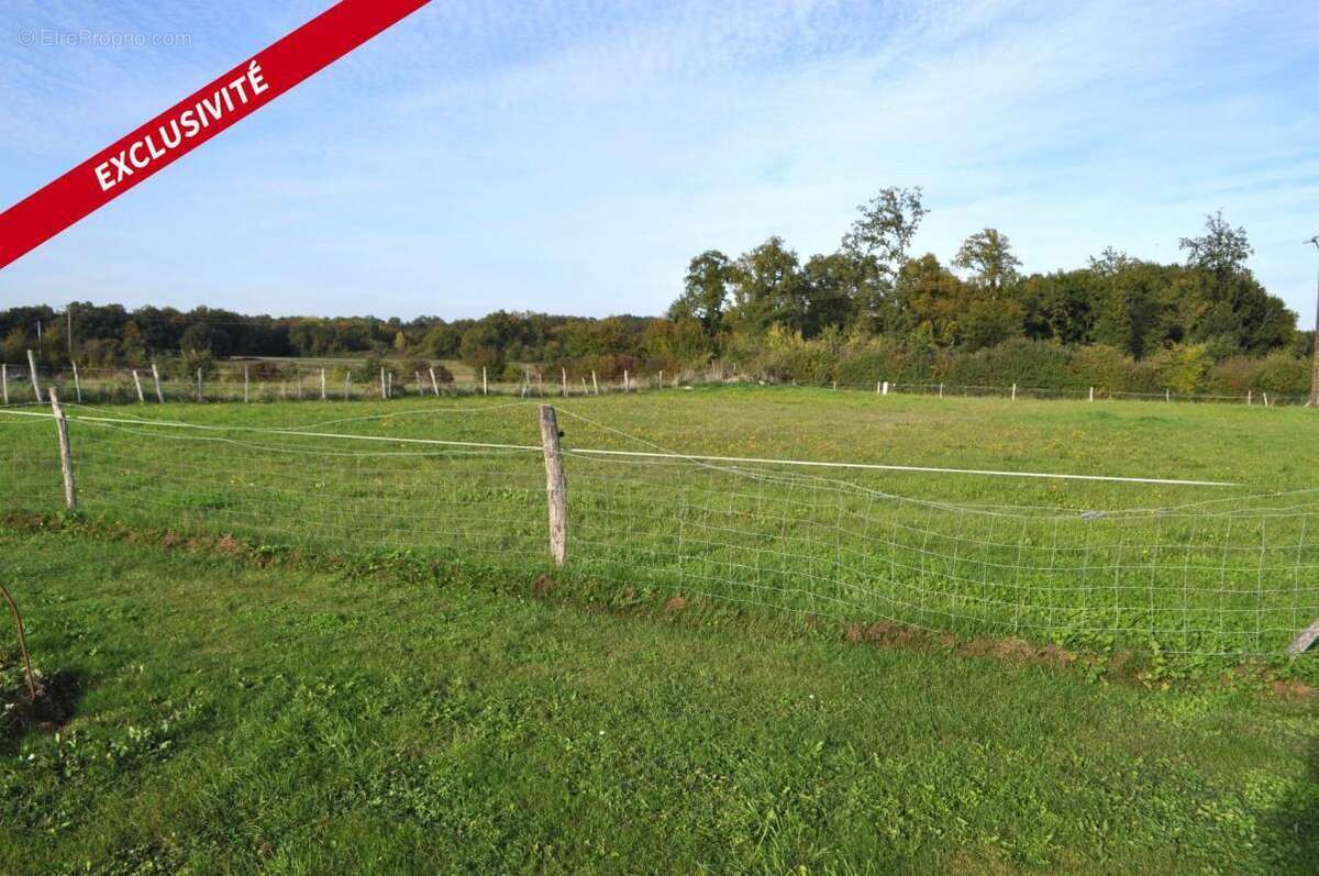 Terrain à ECOYEUX