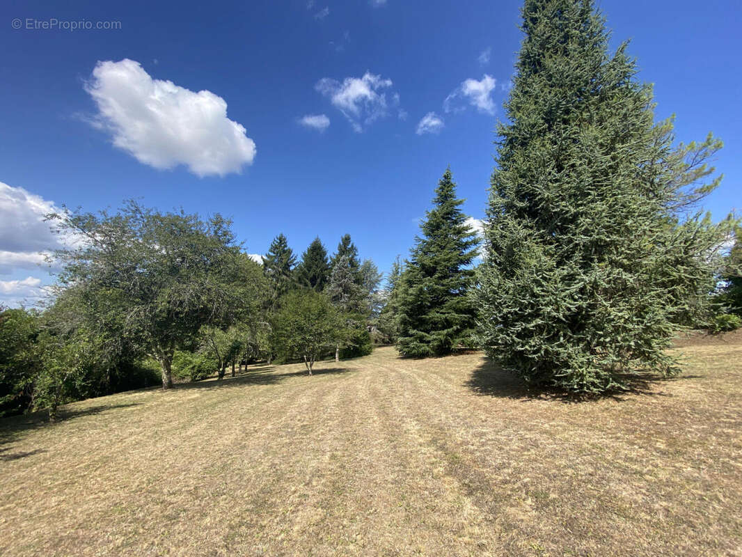 parc - Maison à CHALAIS