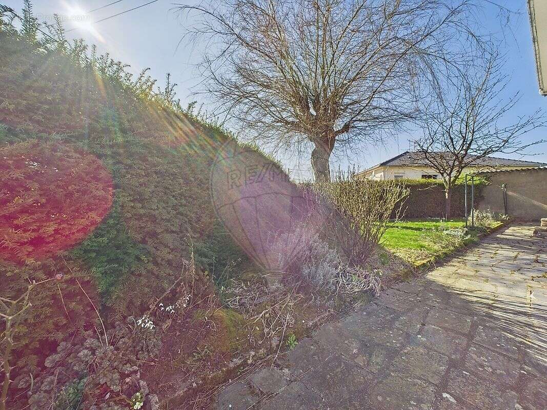 Maison à COSNES-ET-ROMAIN