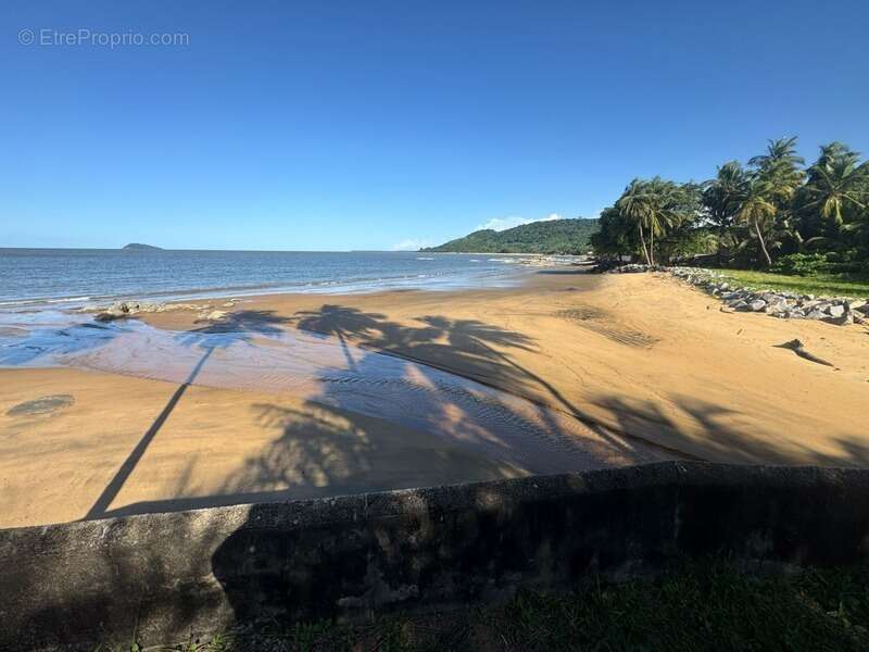  coup de cœur assuré – site exceptionnel en bord de mer  4159 m2 à batir selon les spécifications du plu - photo 5