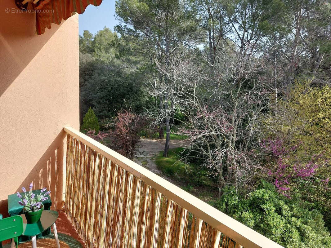 Appartement à PEYMEINADE