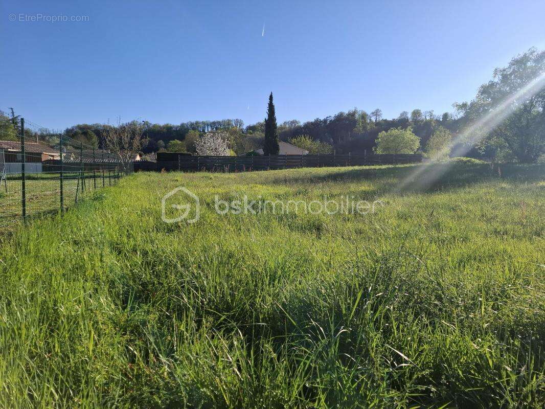 Terrain à bâtir 2055 m² – Flaujagues (33350) - photo 3