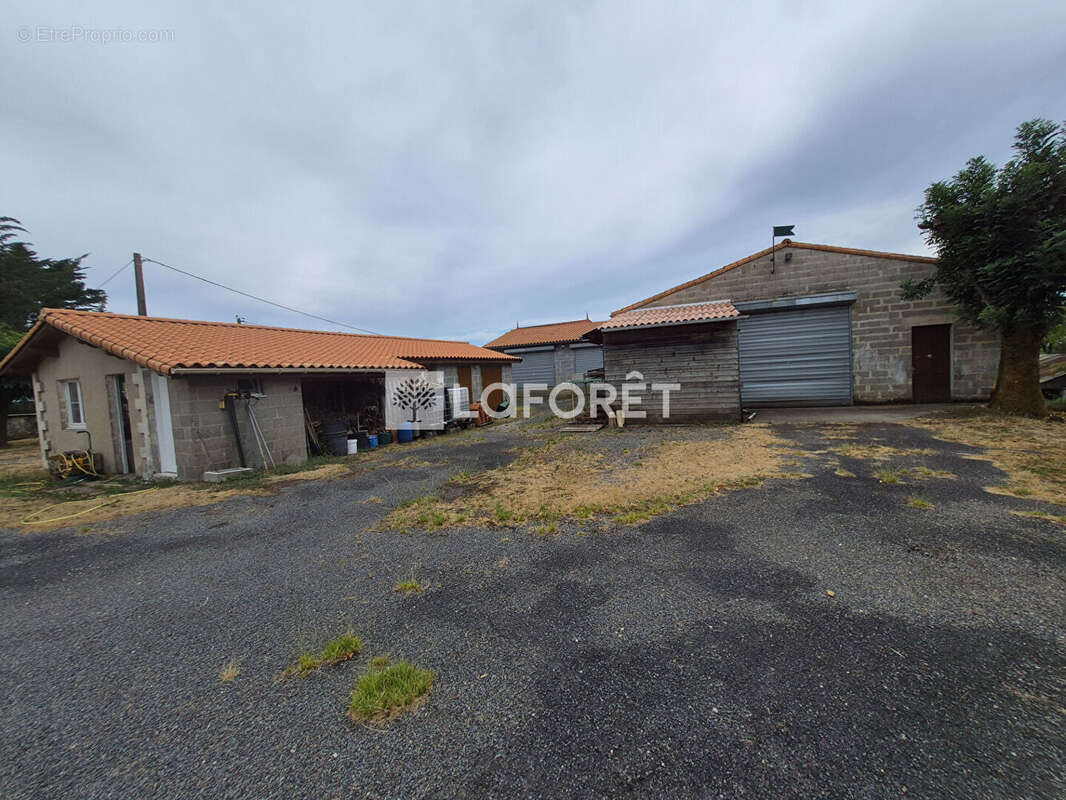 Ensemble immobilier avec maison en pierre, vastes dépendances et jardin. - photo 8