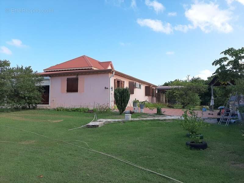 Dpt Guadeloupe (971), à vendre SAINT FRANCOIS maison P5 de 134,03 m² - Terrain de 8 528,00 m² - Plain pied - photo 3