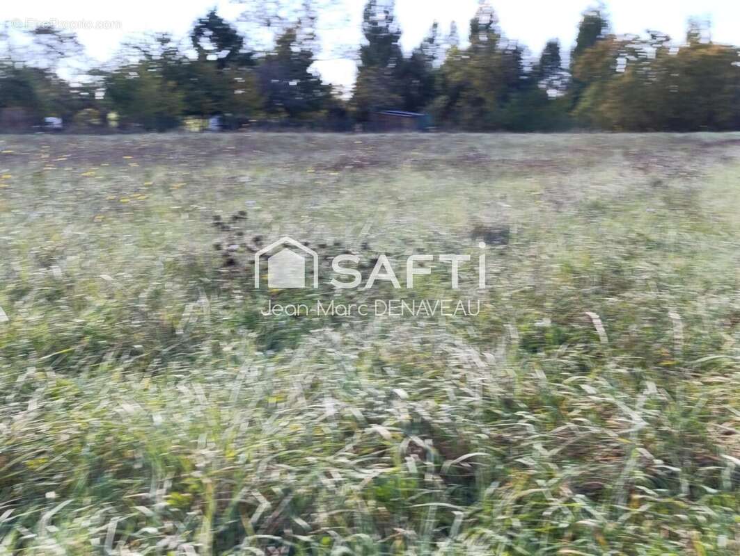 Photo 2 - Terrain à RILLE