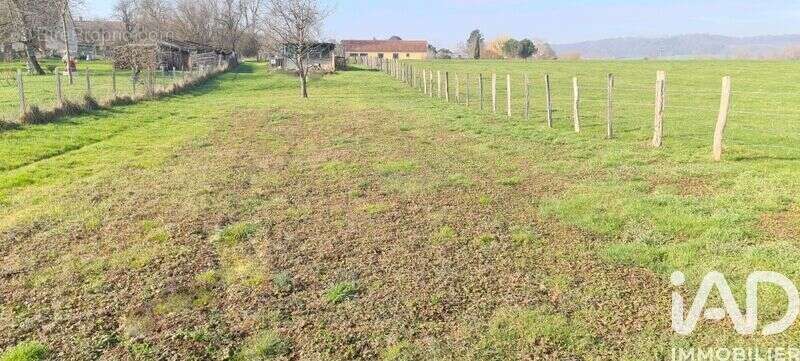 Photo 3 - Terrain à VAIVRE-ET-MONTOILLE