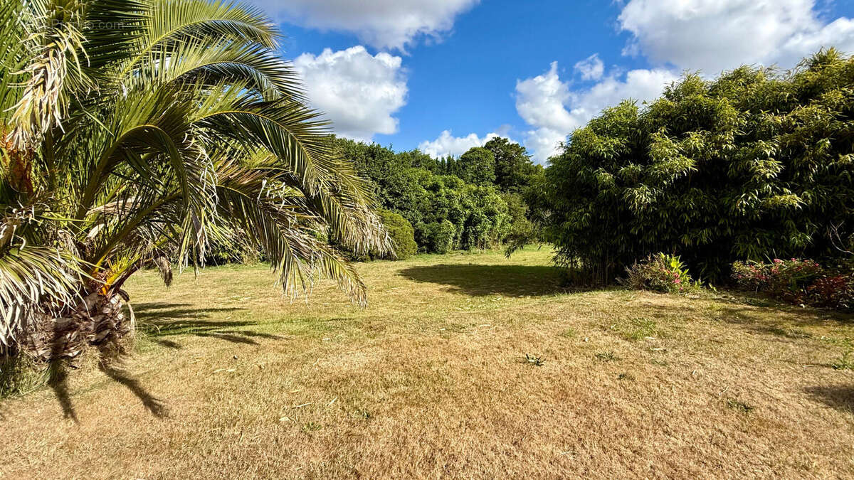 Corps de ferme - 116,14 m2 - terrain de 2400 m2 - GUILERS - photo 4
