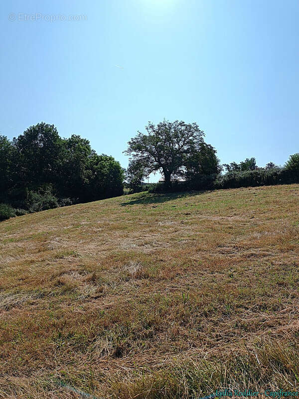Terrain 4580m2 SAUVIAT-63120 secteur très calme et naturel - photo 6
