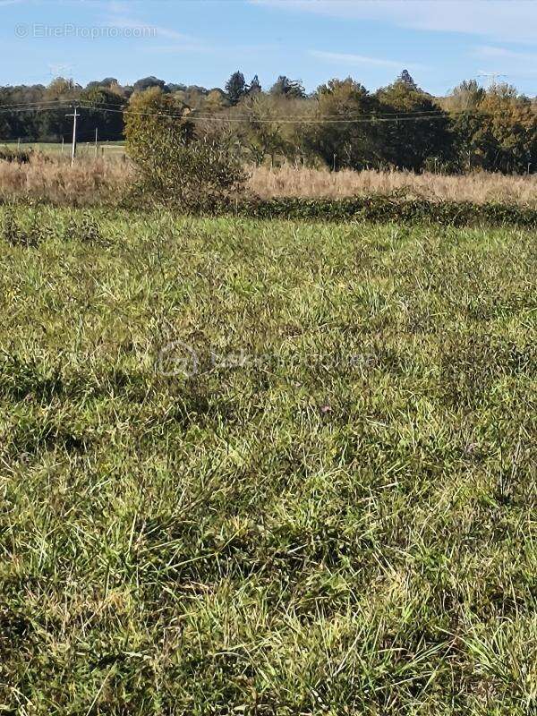 Terrain à TRIE-SUR-BAISE