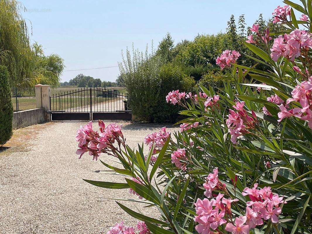 Maison à LABASTIDE-DU-TEMPLE