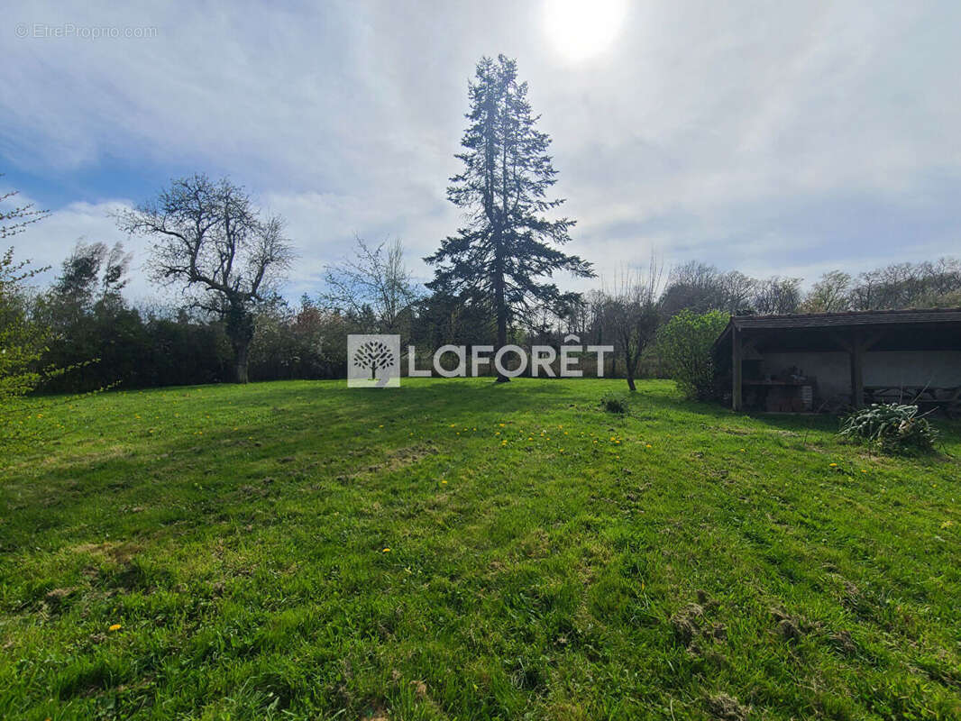 Appartement à CHAMBON-LA-FORET