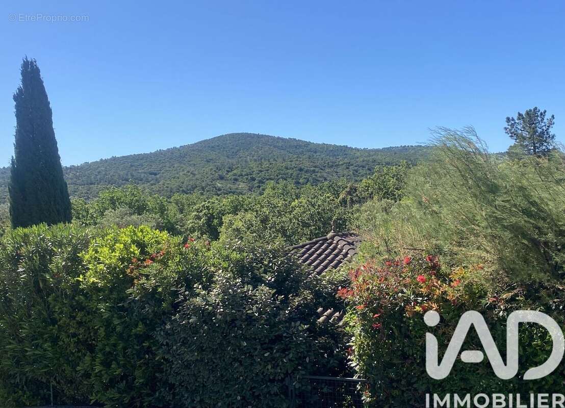 Photo 4 - Maison à ROQUEBRUNE-SUR-ARGENS