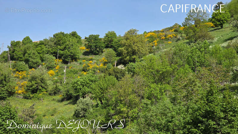 Maison à SAINT-SAUVEUR-DE-MONTAGUT