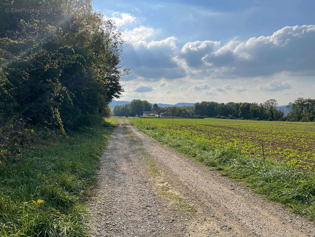 Maison à LONS-LE-SAUNIER