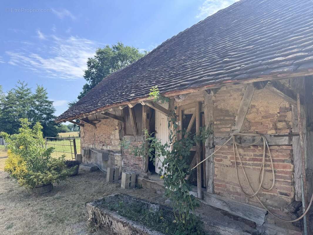 Ferme bressane de caractère sur près de 2,7 hectares – Un véritable havre de paix aux portes de Louhans - photo 19