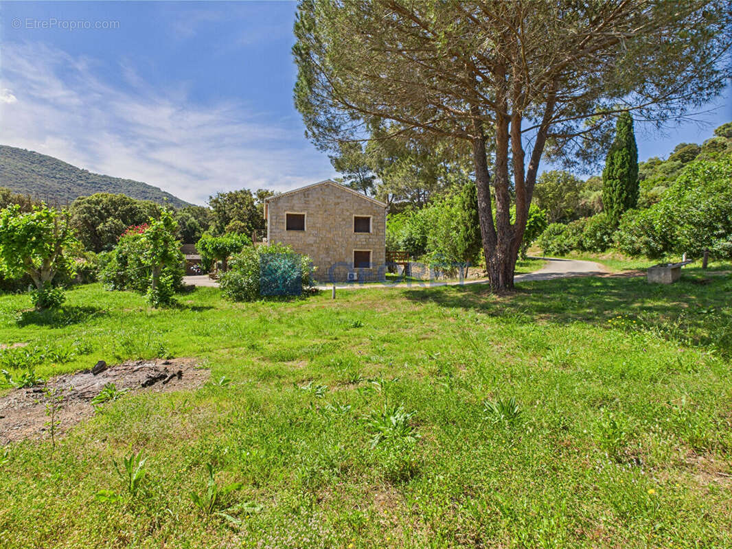 Maison à BELVEDERE-CAMPOMORO