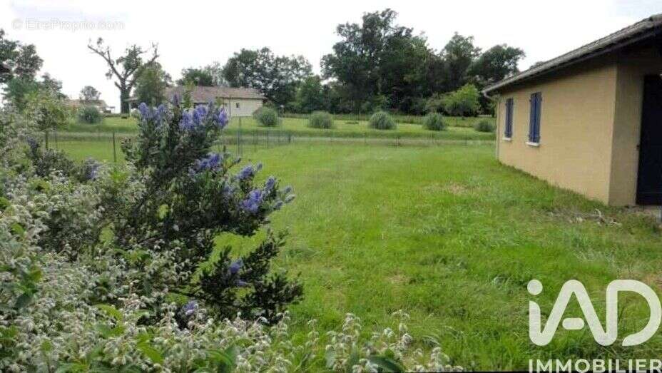 Photo 6 - Maison à CREON-D'ARMAGNAC