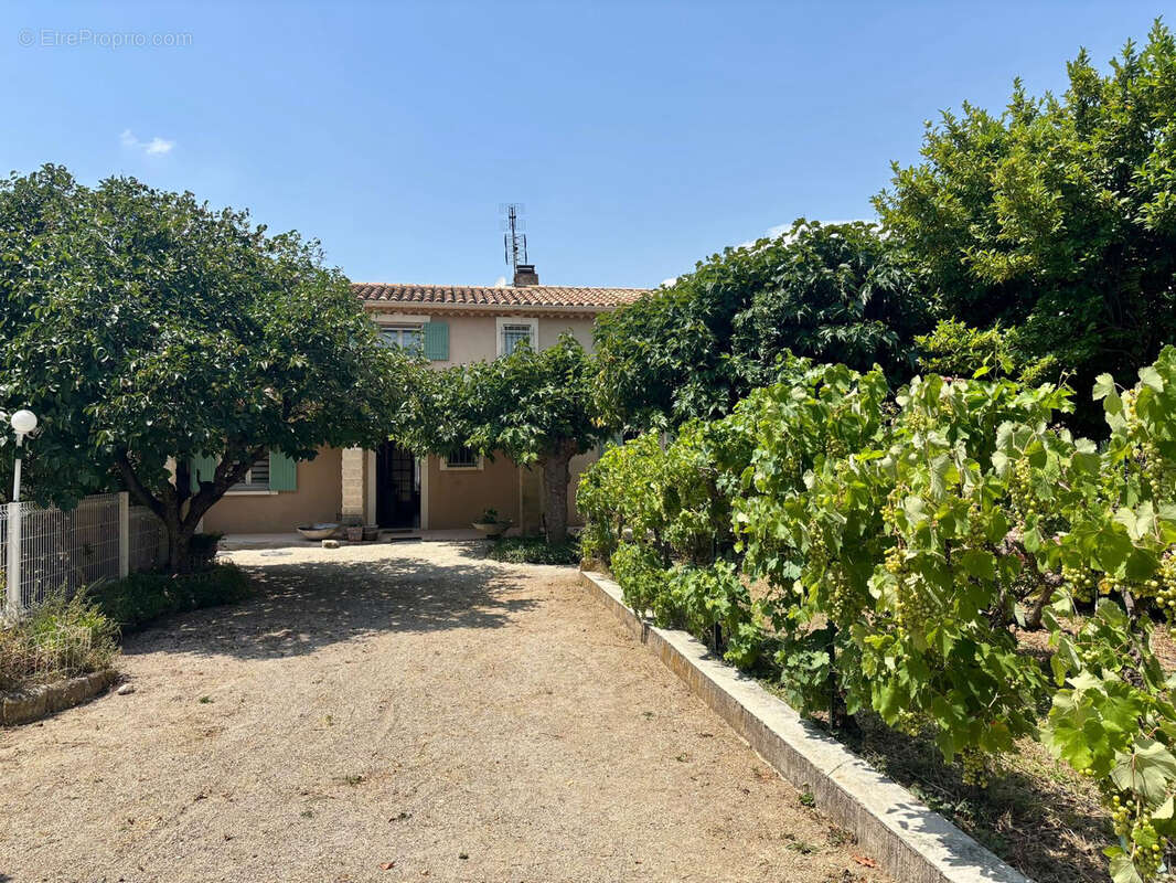 Sainte-cécile-les-vignes villa avec piscine - photo 30