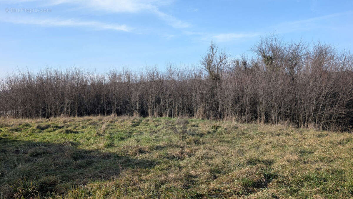 Terrain Montmiral 752 m2 Constructible + 88 m² agricole - photo 2