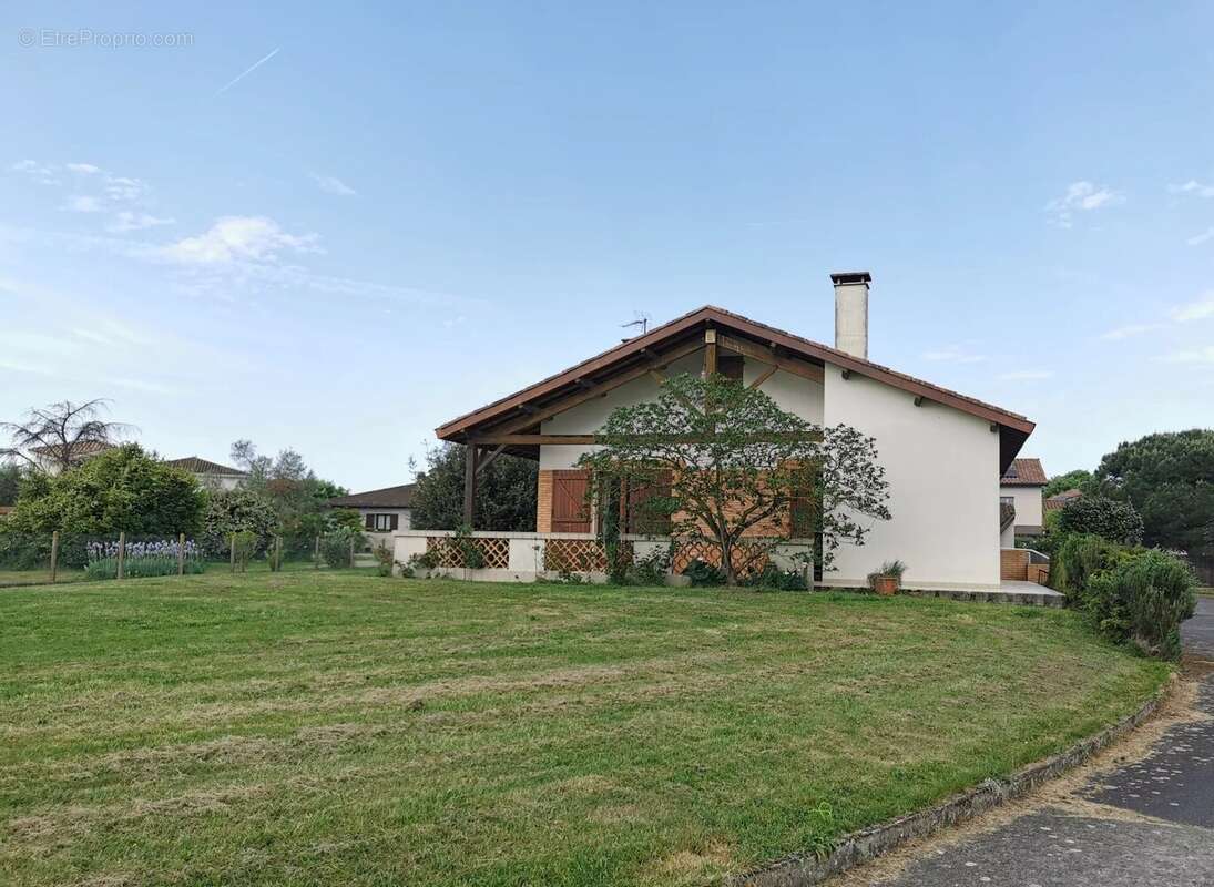 Tournefeuille - maison t6 parcelle 2194 m² - photo 3