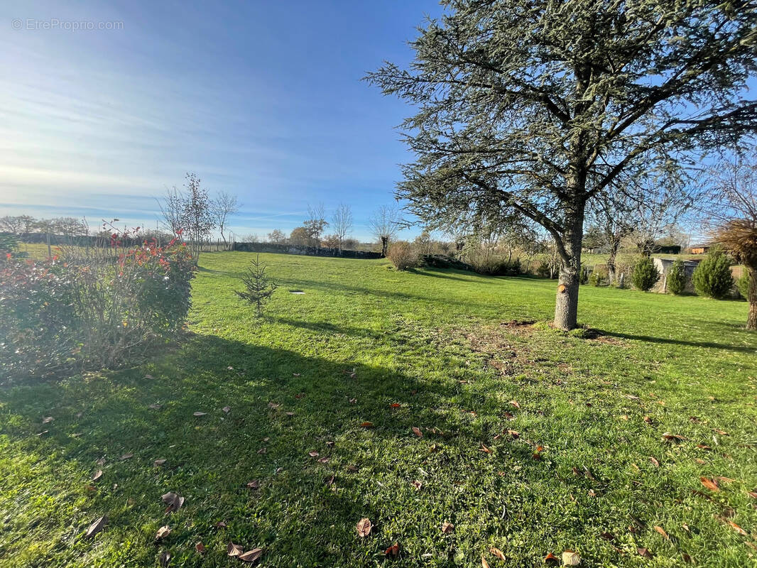 Terrain à SAINTE-RADEGONDE