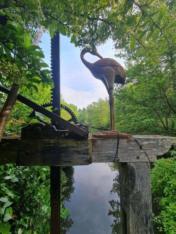 Au coeur du Perche, ancien moulin de forge près de la forêt de Réno-Valdieu - photo 11