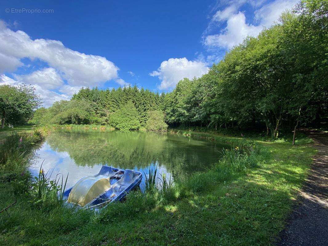 Domaine forestier&etangs - photo 5