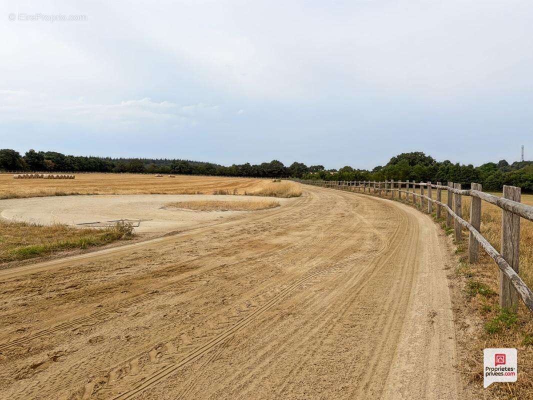 Propriété equestre Erdre En Anjou 7 pièce(s) 169 m2 - photo 4